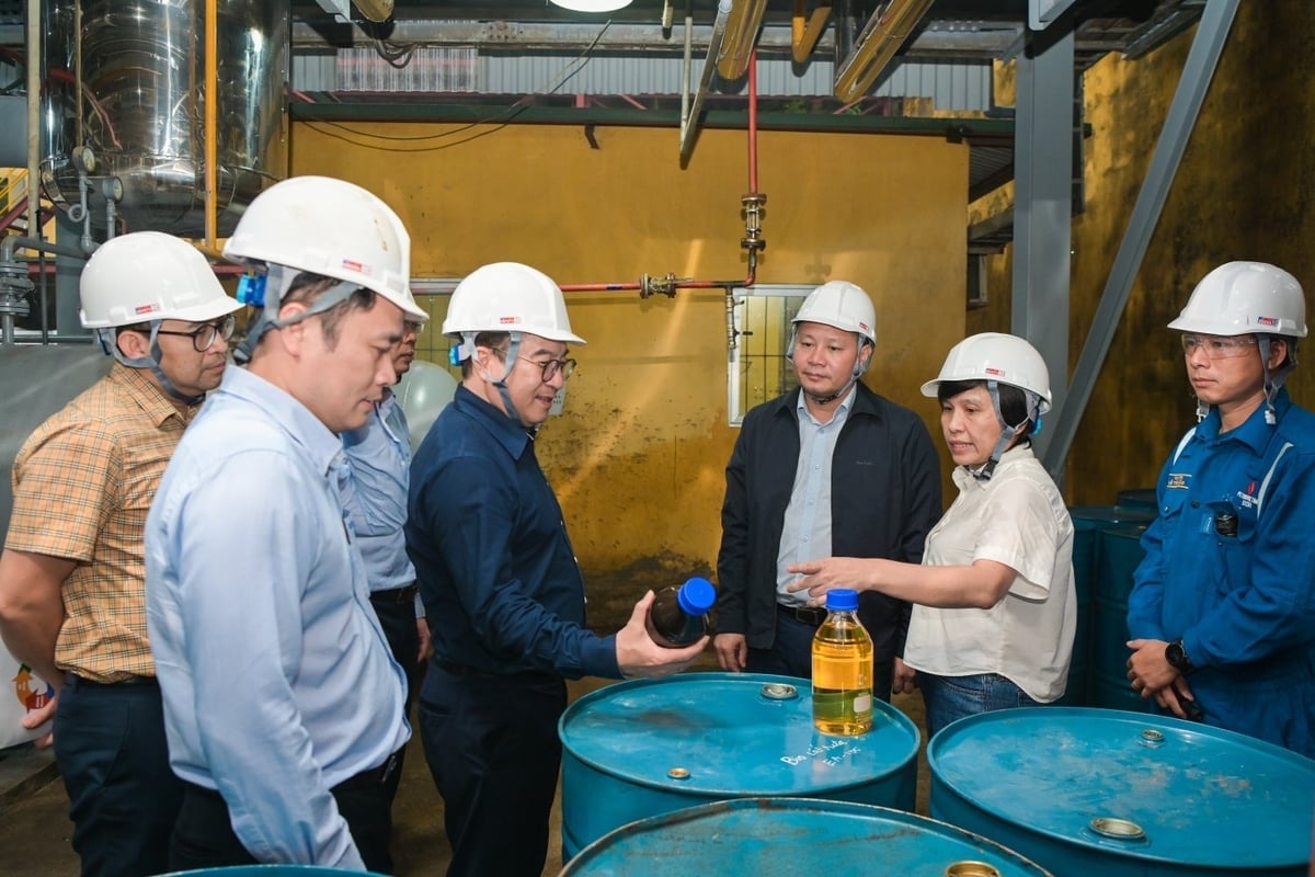 बीएसआर नेताओं ने जैव ईंधन की प्रौद्योगिकी पूर्णता और परीक्षण उत्पादन में प्रगति को बढ़ावा देने के लिए दौरा किया... फोटो: मिन्ह डुक।