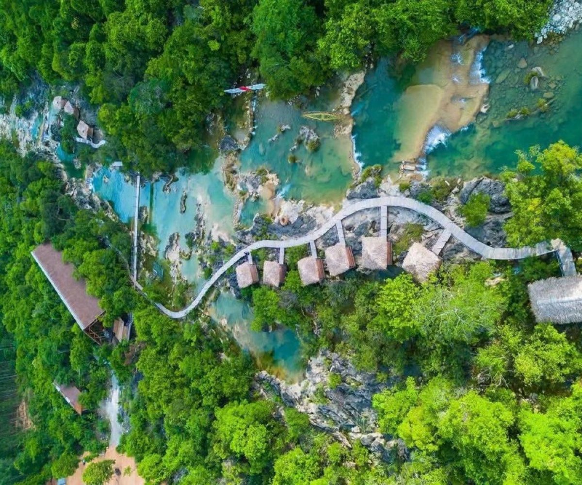 World Land Trust hỗ trợ phục hồi động vật hoang dã tại Quảng Trị