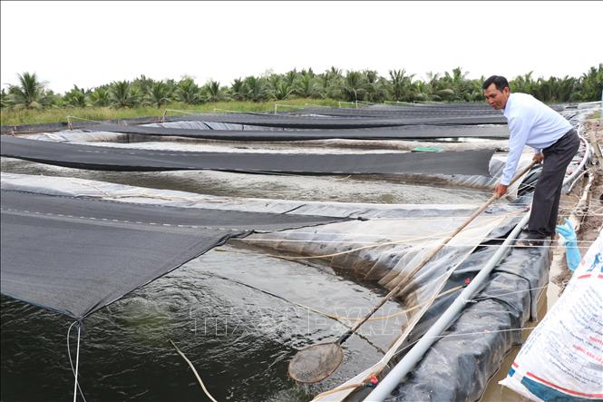 ចំណងជើងរូបថត