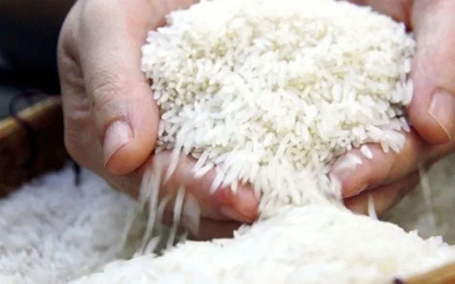 Gạo ST25 tiếp tục thắng giải gạo ngon nhất thế giới