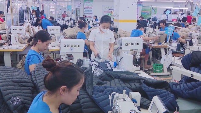 PMI tăng mạnh, doanh nghiệp mở rộng sản xuất và đẩy kỳ vọng xuất khẩu cuối năm - Ảnh 3.