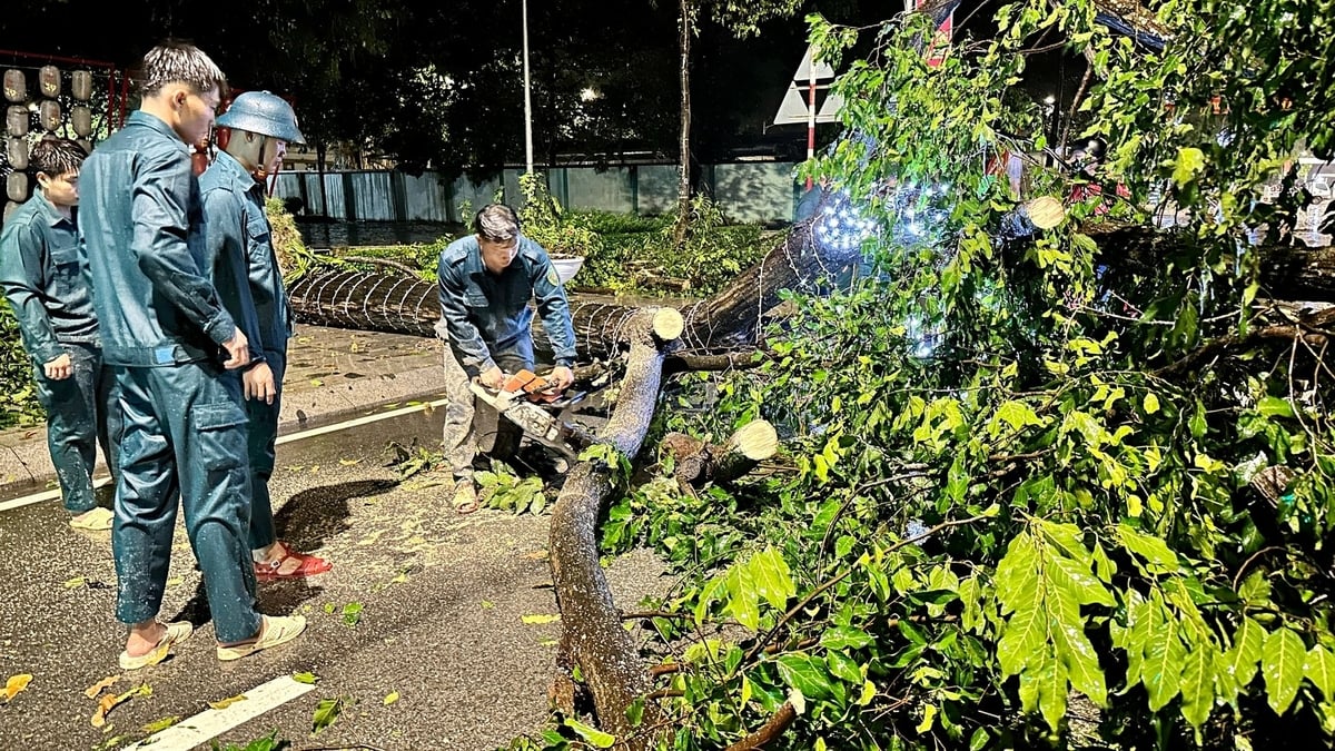 Lực lượng dân quân và công nhân Công ty Công trình công cộng khẩn trương thu dọn cây xanh ngã đổ trên tuyến đường Hùng Vương. Ảnh: Duy Minh.