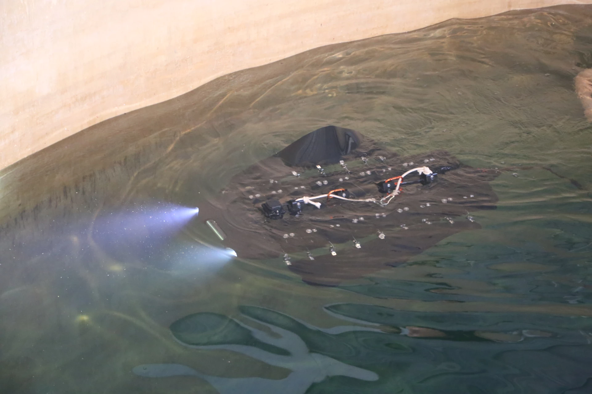 Testen van onderwater biomimetische robotproducten.