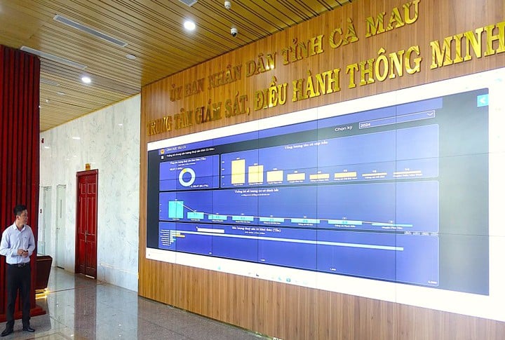 Cà Mau: Đẩy mạnh cải cách hành chính gắn với chuyển đổi số - Ảnh 1.