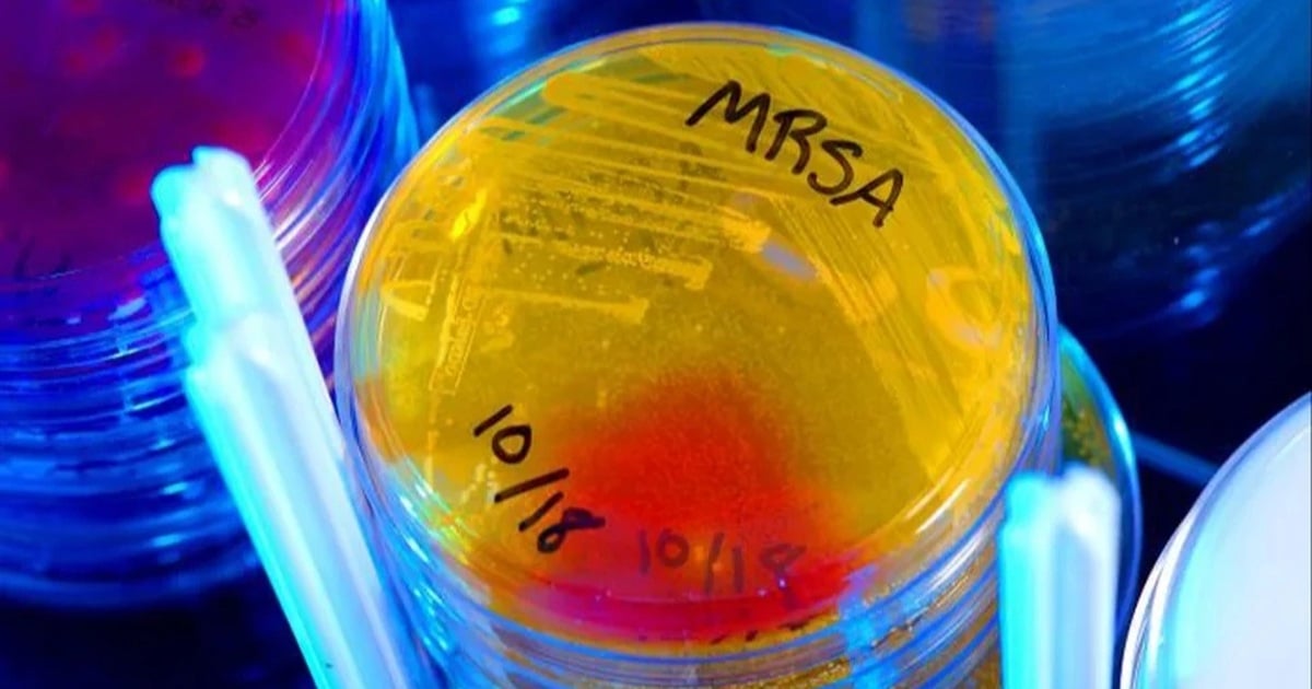 Phát hiện kháng sinh mạnh gấp 100 lần, mang hy vọng mới cho y học