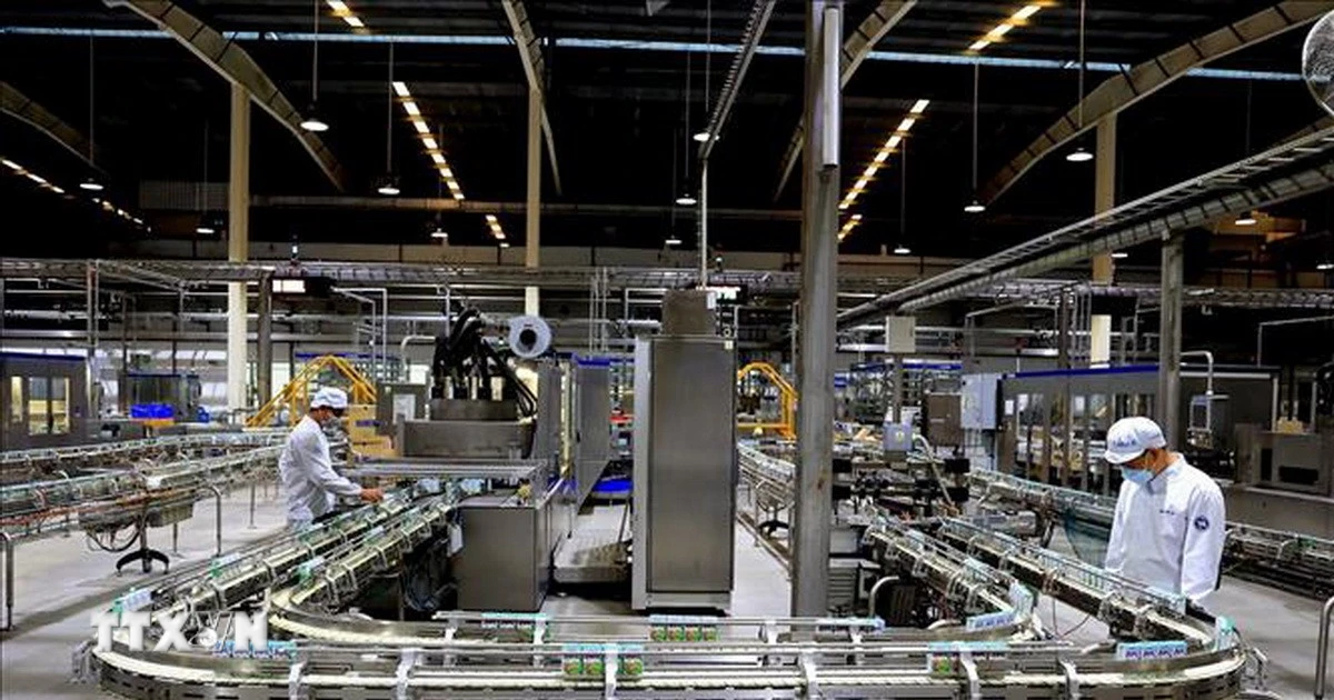 Hợp chất thay thế kháng sinh mở ra hướng đi bền vững cho ngành sữa toàn cầu