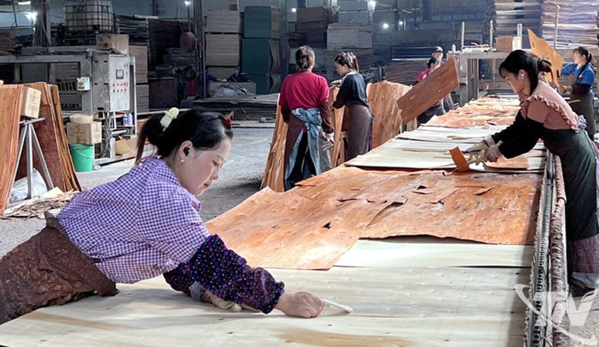 ការផលិត និងចរាចរទំនិញនៅក្នុងខេត្ត Thai Nguyen ត្រូវបានស្តារឡើងវិញយ៉ាងឆាប់រហ័ស បន្ទាប់ពីគ្រោះធម្មជាតិ។