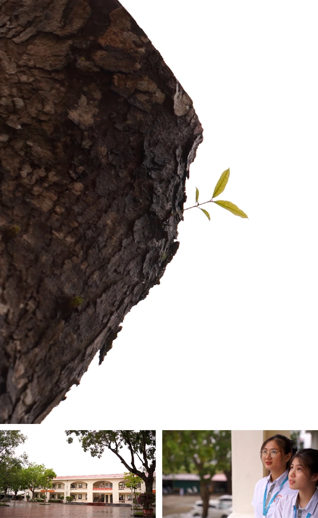 [Електронний журнал] Від темряви насильства до світла любові - Частина 2: Дарувати любов, викорінювати шкільне насильство