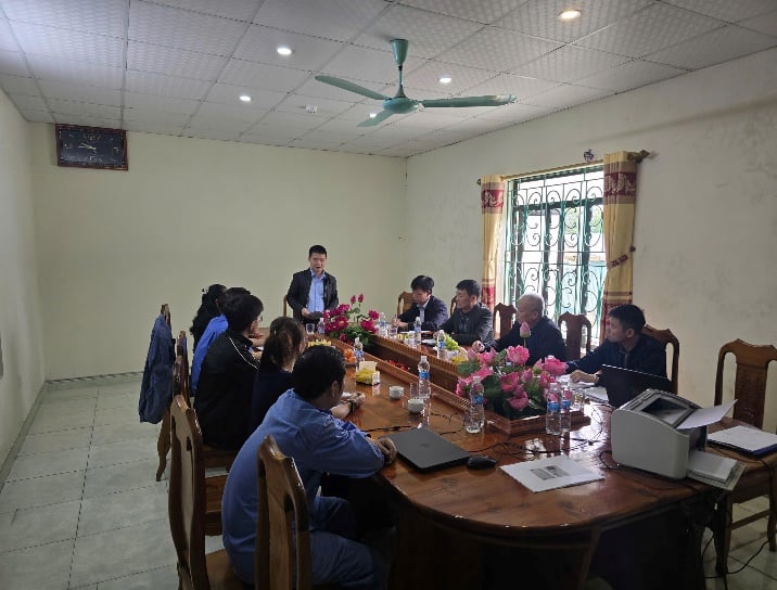 אנגלית: החדשות