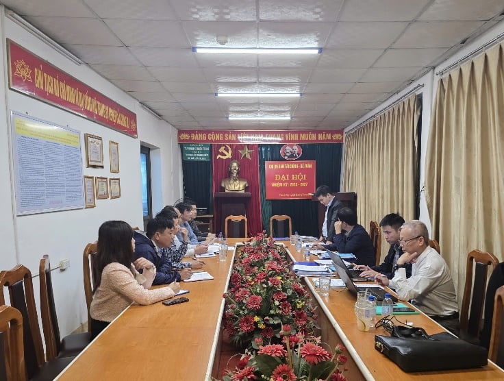 אנגלית: החדשות