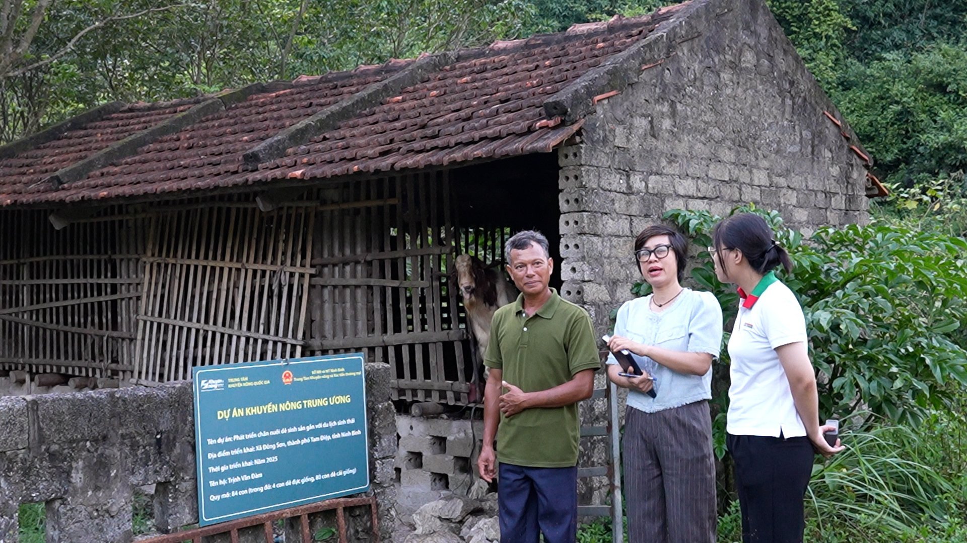 Bà Nguyễn Thị Dịu (giữa) - Phó Giám đốc Trung tâm Khuyến nông và Xúc tiến thương mại tỉnh Ninh Bình thăm mô hình nuôi dê của ông Đàm. Ảnh: Hà Trang.