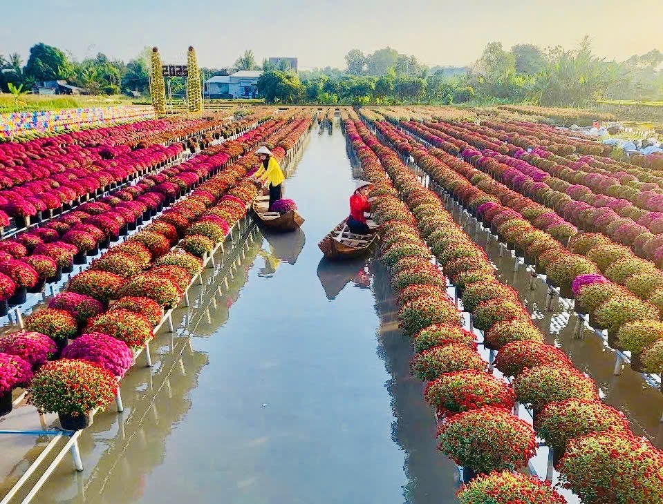 Festival Hoa-Kiểng Sa Đéc 2025