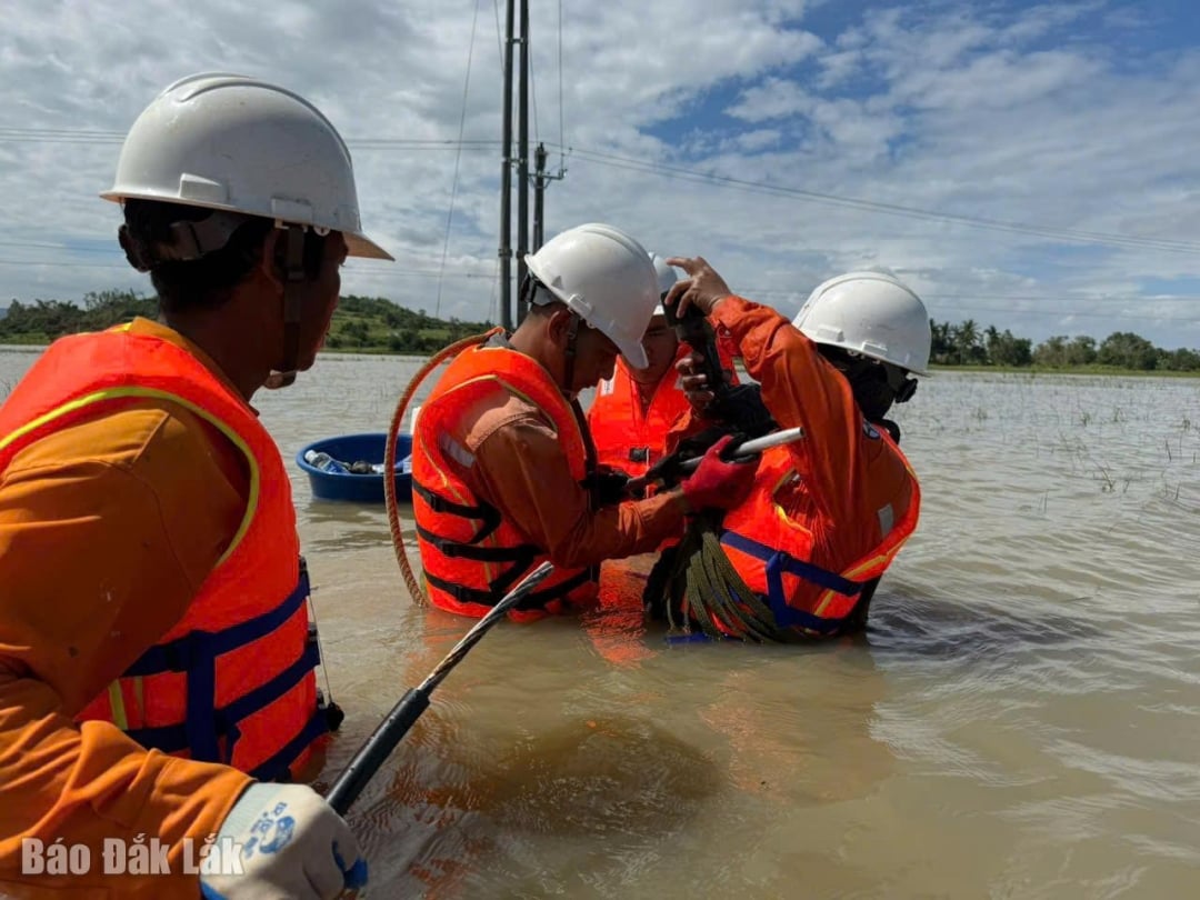 तुई एन बेक कम्यून में बिजली ग्रिड की मरम्मत के लिए श्रमिक पानी में भीग रहे हैं।