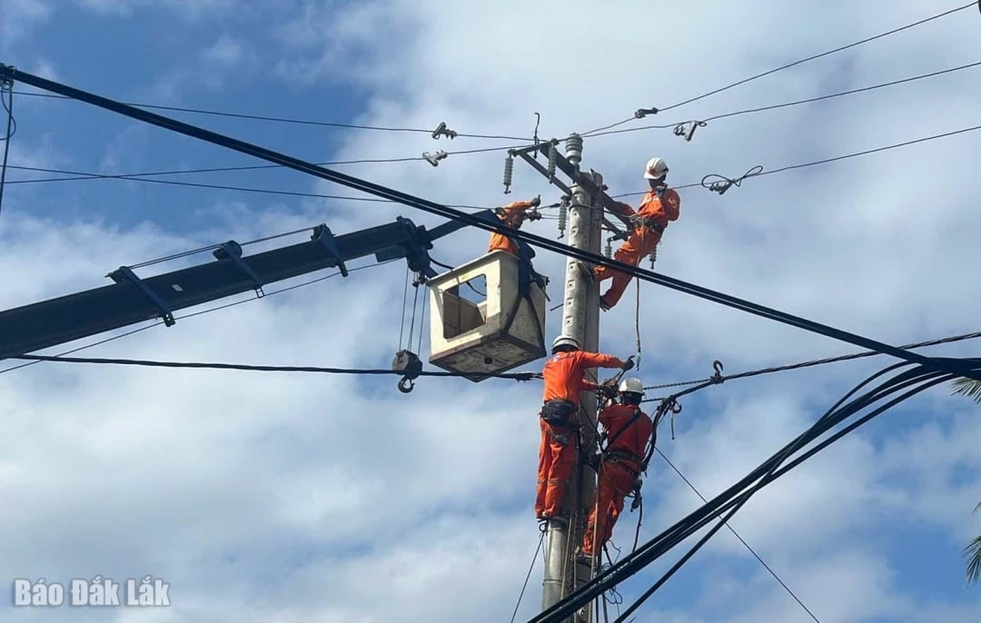 जाल की मरम्मत के लिए श्रमिक लाइन से लटके हुए हैं।