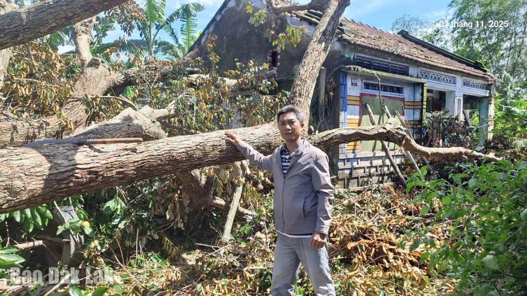 ដើមឈើ​ដែល​ត្រូវ​ខ្យល់​ព្យុះ​បោកបក់​បំផ្លាញ​ឃ្លាំង និង​កសិដ្ឋាន​ចិញ្ចឹម​សត្វ​របស់​សហករណ៍។