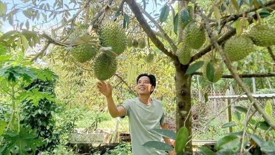 Nông dân ĐBSCL đổi mới, làm giàu từ mô hình nông nghiệp xanh