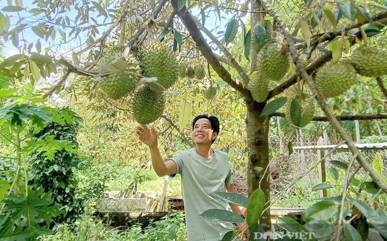 Nông dân ĐBSCL ngày càng đổi mới tư duy, ứng dụng khoa học kỹ thuật vào sản xuất, nâng cao hiệu quả kinh tế. Ảnh: Thanh Bạch.