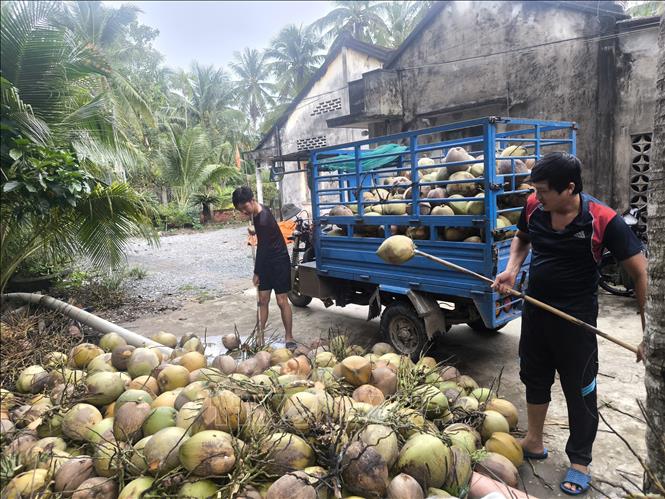 ຄຳບັນຍາຍຮູບ