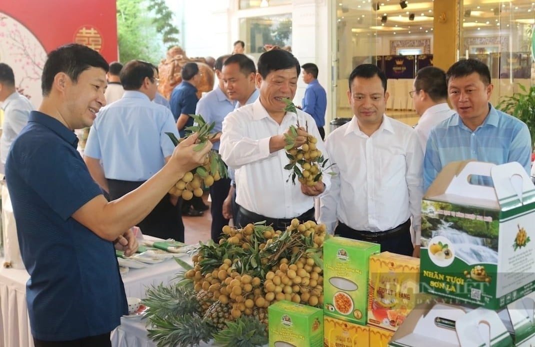 Hoạt động liên kết, quảng bá trong tiêu thụ nông sản. Ảnh: Dân Việt.