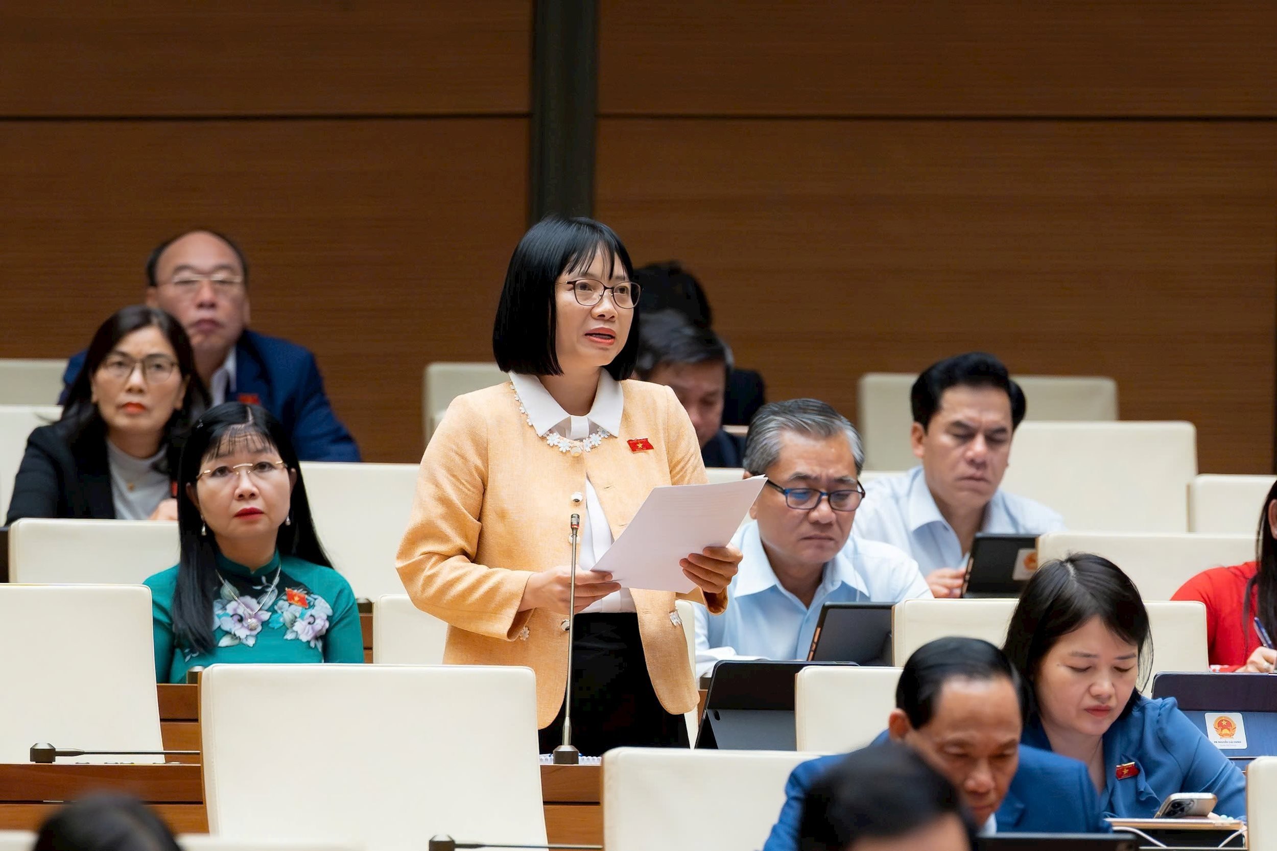 ທ່ານ​ຜູ້​ແທນ​ສະ​ພາ​ແຫ່ງ​ຊາດ ຫງວຽນ​ທິ​ຫວຽດ​ນາມ (ນະ​ຄອນ ຫາຍ​ຟ່ອງ)