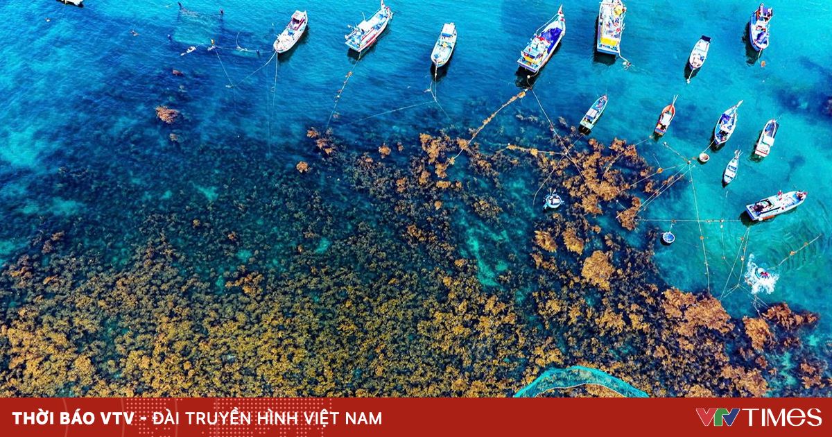 Gia Lai hoạch định du lịch mang bản sắc đại ngàn và biển xanh