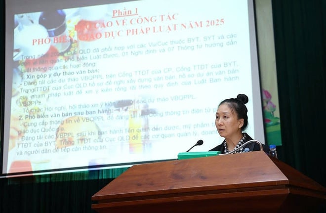 Thứ trưởng Thường trực Vũ Mạnh Hà: Phải gắn xây dựng pháp luật với cải cách hành chính và chuyển đổi số y tế- Ảnh 4.