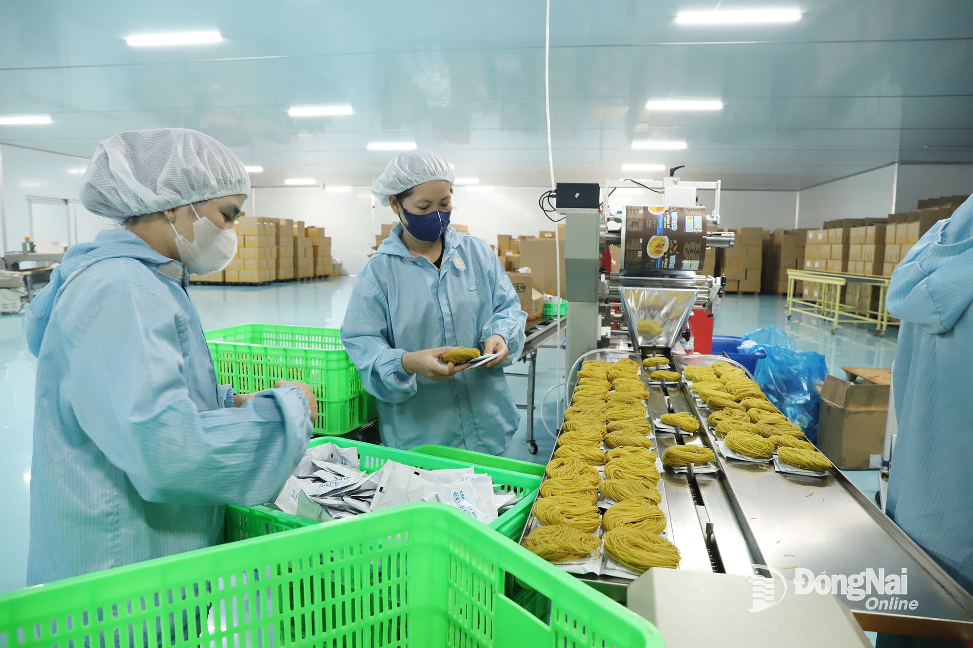 خط فرآوری محصولات کریکت در شرکت کریکت وان لیمیتد در بخش لوک نین، استان دونگ نای.