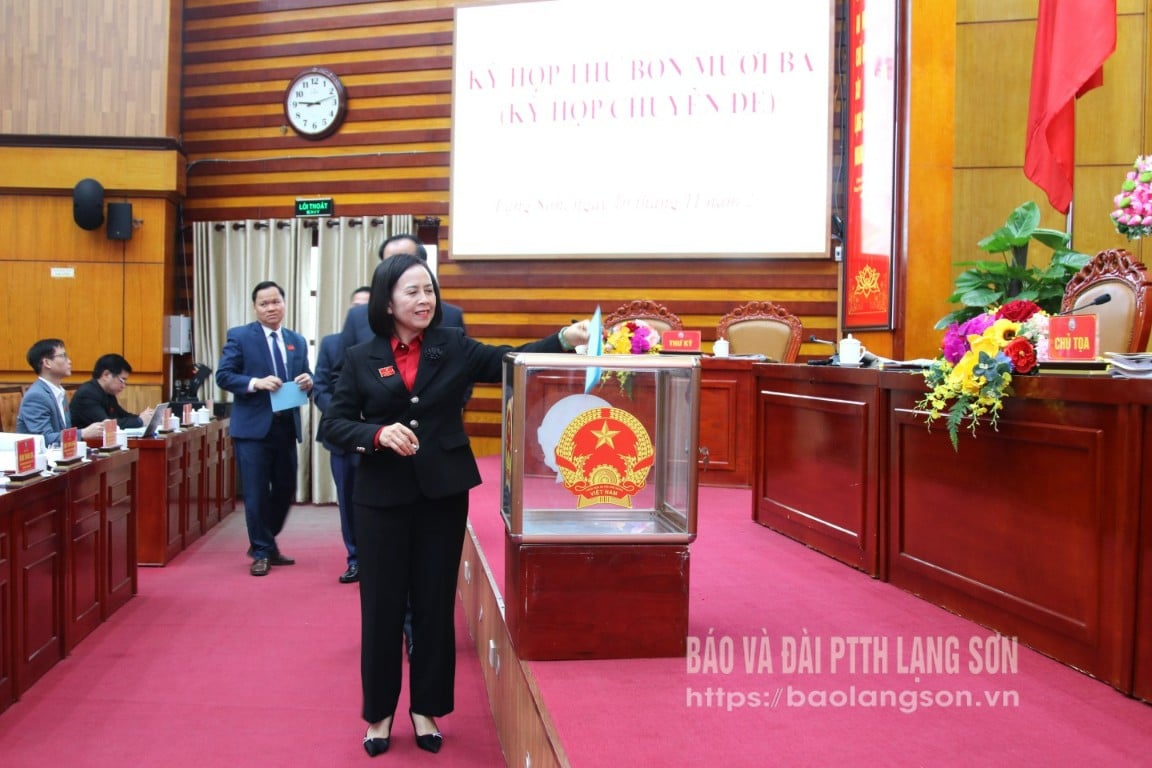 ប្រតិភូបានបោះឆ្នោតជ្រើសរើសសមាជិកបន្ថែមនៃគណៈកម្មាធិការប្រជាជនខេត្តសម្រាប់អាណត្តិទី ១៧ ឆ្នាំ ២០២១ ដល់ ២០២៦។