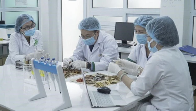 Y dược cổ truyền Việt Nam vươn tầm Thế giới: Từ di sản văn hóa đến giá trị khoa học toàn cầu- Ảnh 1.