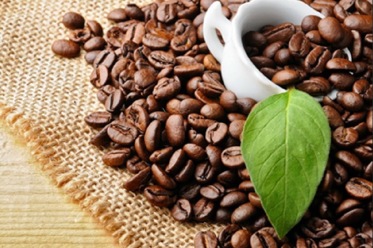 កាហ្វេវៀតណាមត្រូវផ្លាស់ប្តូរយ៉ាងខ្លាំងចំពោះការកែច្នៃ ដើម្បីចាប់យកឱកាសទីផ្សារថ្មី។ (រូបភាព៖ ITN)