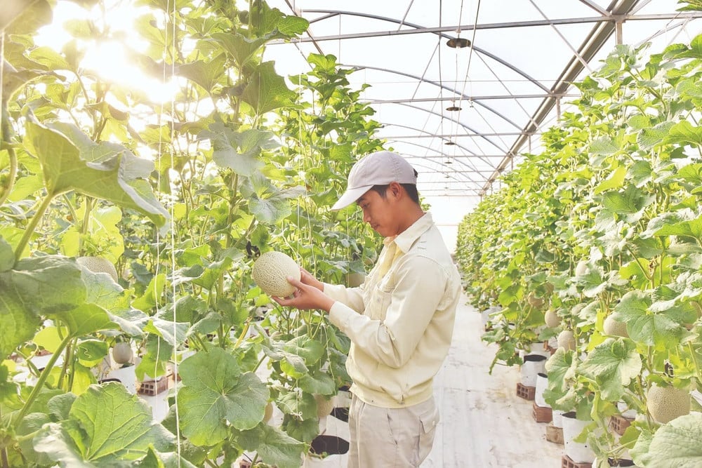 Đầu tư nghiên cứu là giải pháp nâng cao năng lực hệ thống liên vận hành thực chất. Ảnh: Đăng Anh.