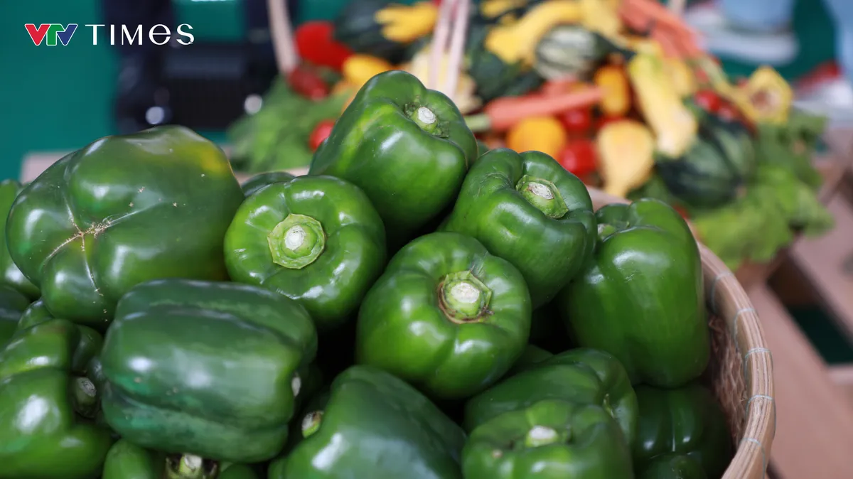 Tăng cường giải pháp tiêu thụ nông sản gắn với chuyển đổi số - Ảnh 6.