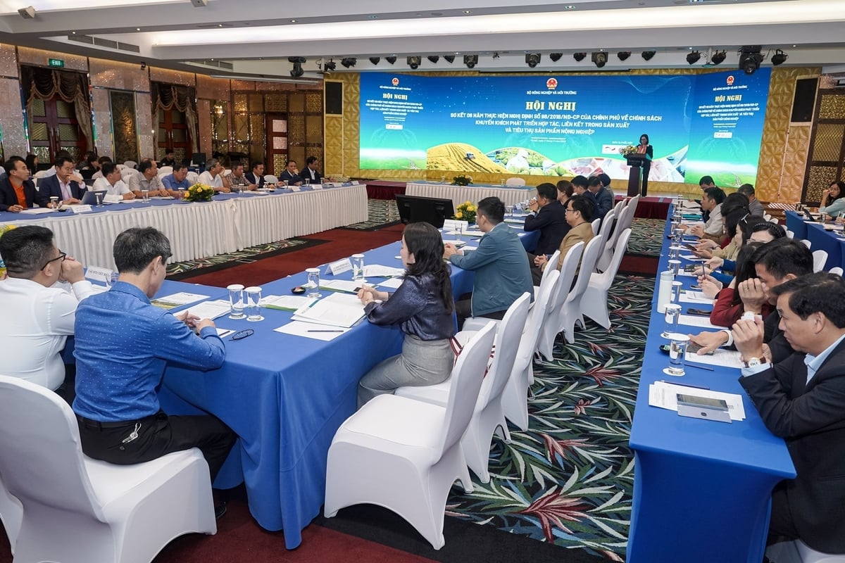 Hội nghị thu hút sự tham dự của hàng trăm đại biểu là các HTX, doanh nghiệp, tổ chức, cá nhân trên toàn quốc. Ảnh: Bảo Thắng.