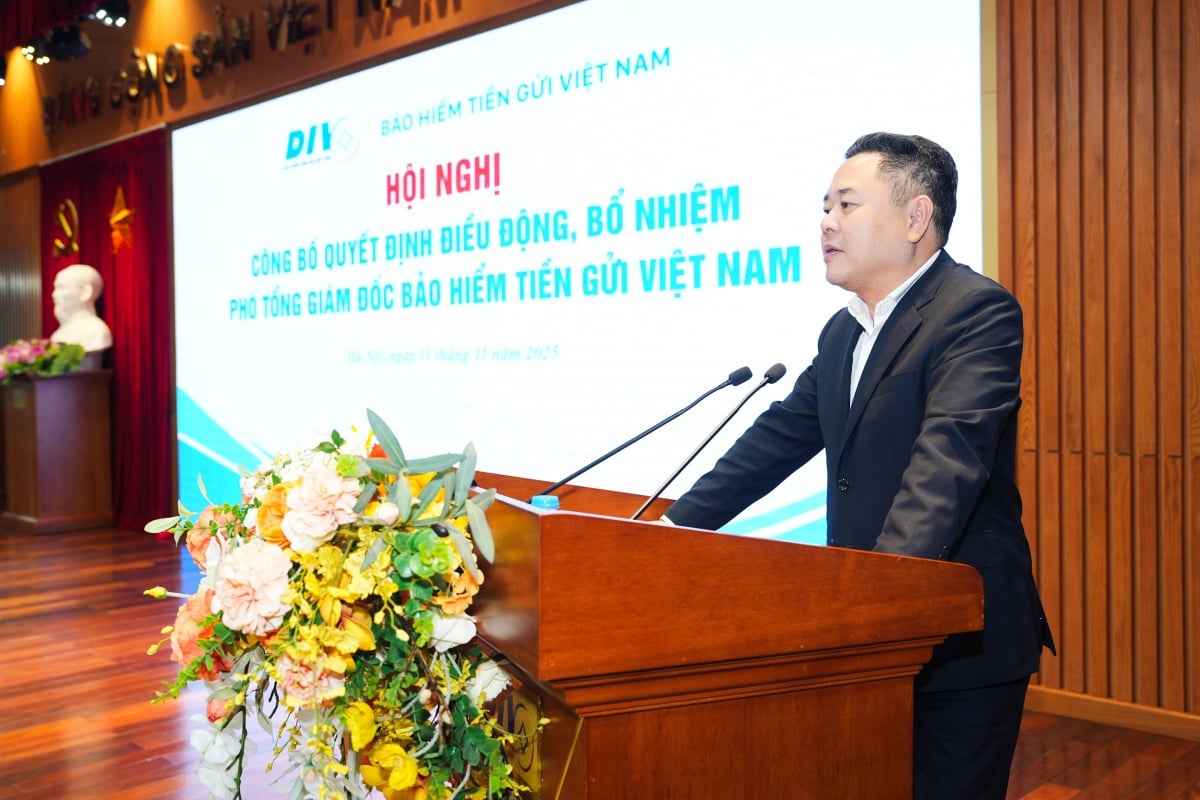 Điều động, bổ nhiệm Phó Tổng Giám đốc Bảo hiểm tiền gửi Việt Nam