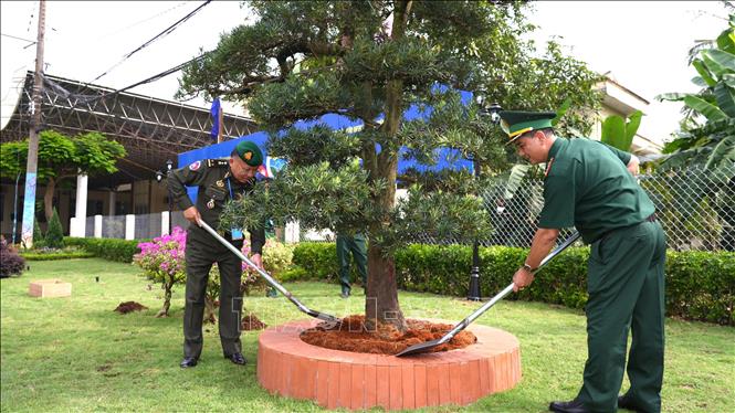 ចំណងជើងរូបថត
