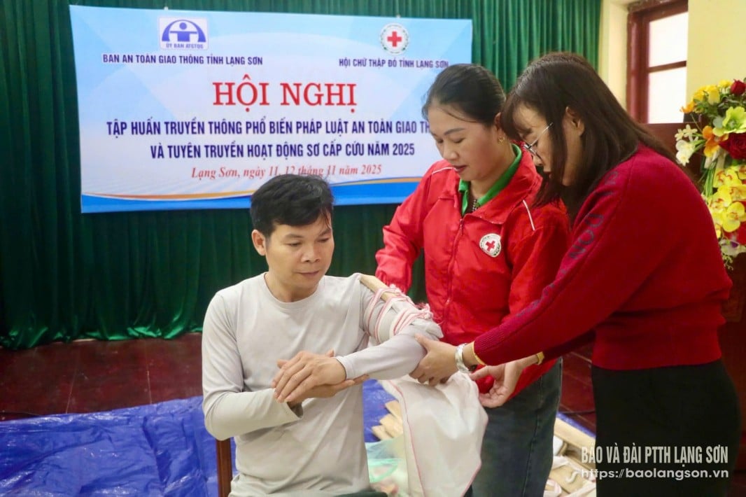 交通事故による負傷者への応急処置方法を指導するインストラクター