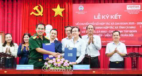 Đẩy mạnh chuyển đổi số gắn với liên kết chuỗi giá trị trong hợp tác xã