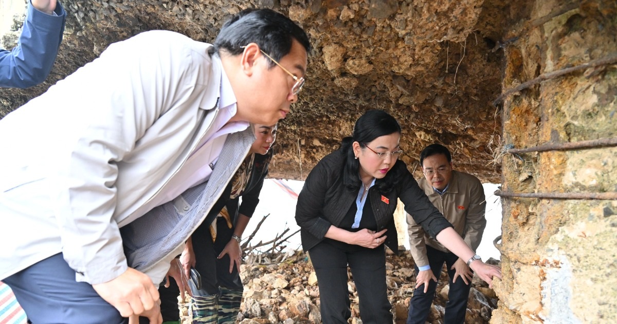 Khảo sát cầu Sông Lô để sửa Luật Xây dựng: Đưa hơi thở cuộc sống vào luật