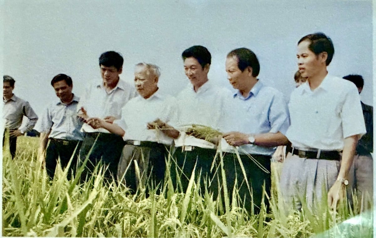 Cố Bộ trưởng, Phó Thủ tướng Chính phủ Nguyễn Công Tạn (thứ tư từ phải qua) cùng cán bộ ngành nông nghiệp đi thăm lúa. Ảnh: TL.