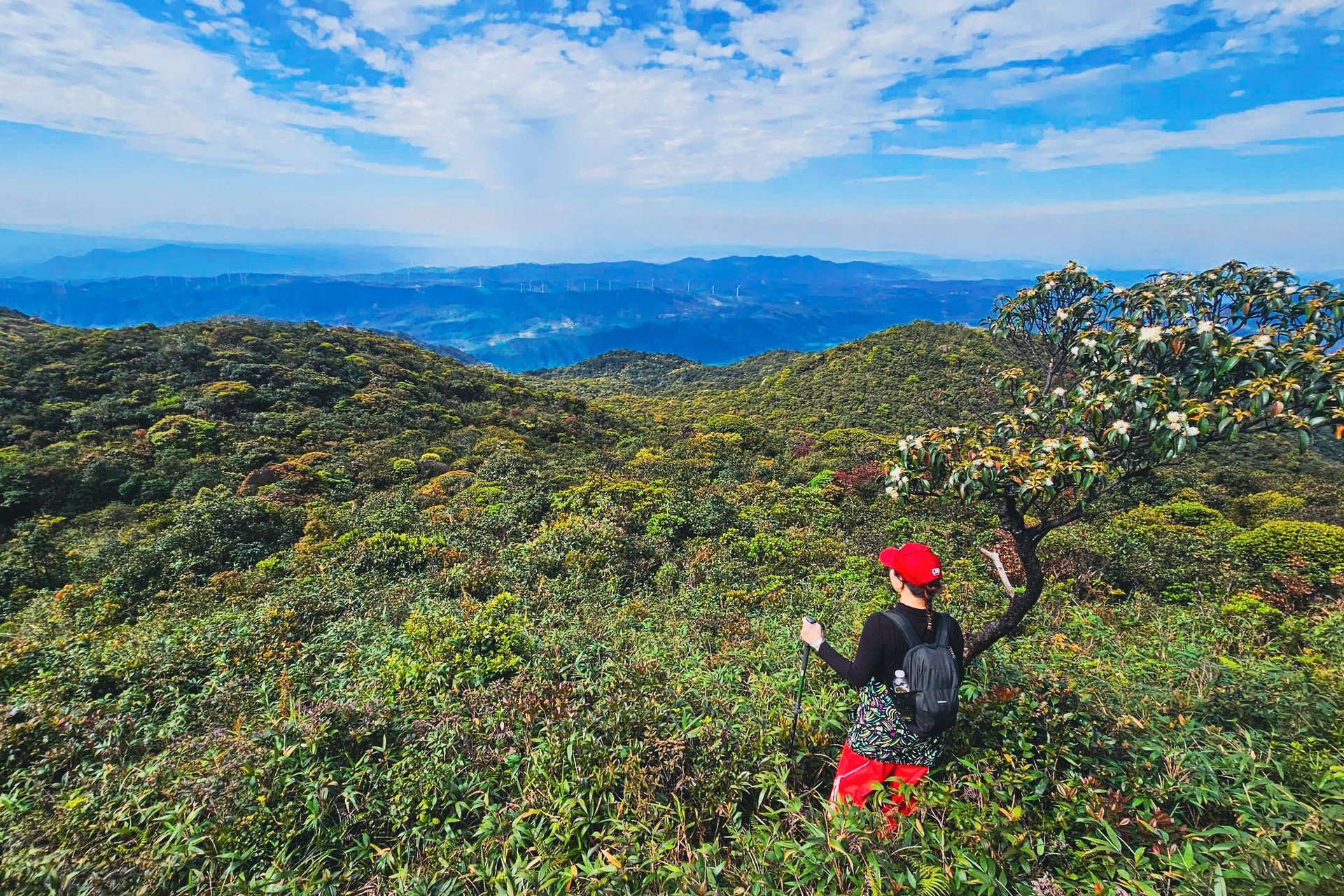 ការបរបាញ់ពពកនៅលើ 