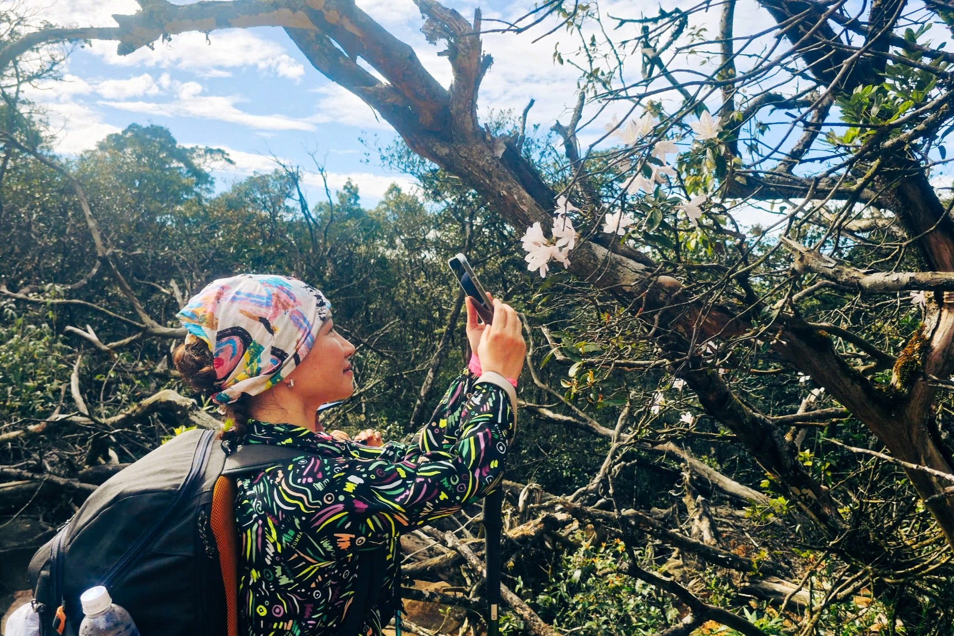 ការបរបាញ់លើពពកនៅលើ 