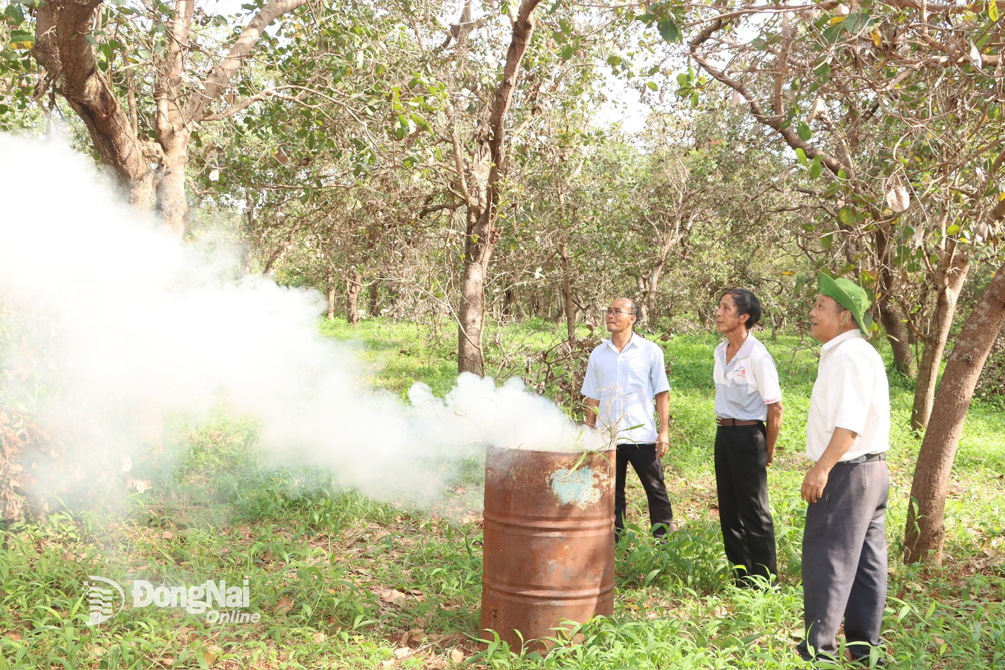 Des représentants de l'Association des agriculteurs de la commune de Bu Gia Map ont visité le modèle de traitement des ravageurs et des maladies des anacardiers mis en place par la population. Photo : Vu Thuyen