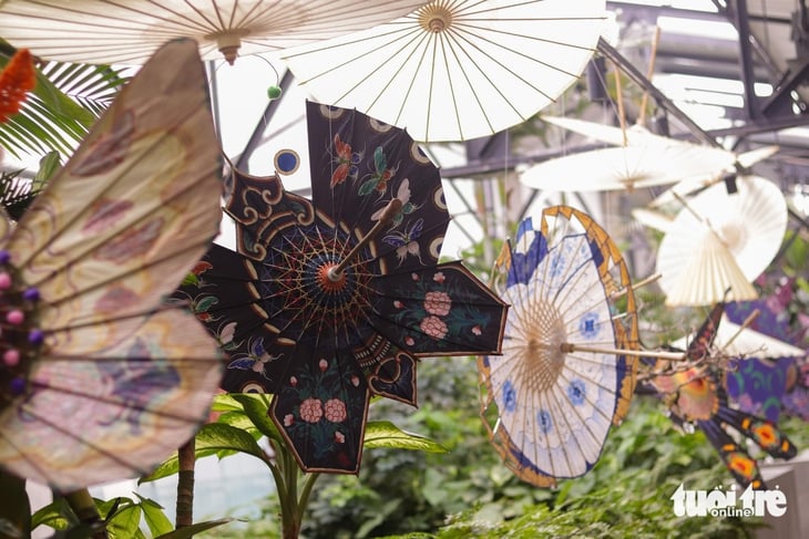 lọng bướm - Ảnh 1.