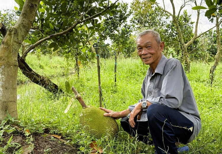 Cựu chiến binh xung kích làm giàu