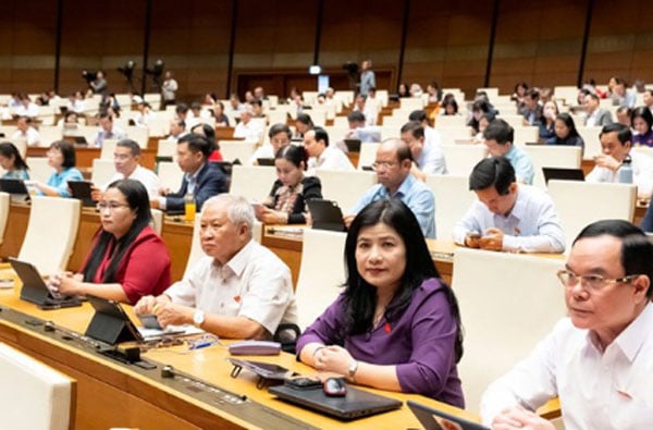 Discussion session on socio-economic situation at the 10th session of the 15th National Assembly - Photo: NA  
