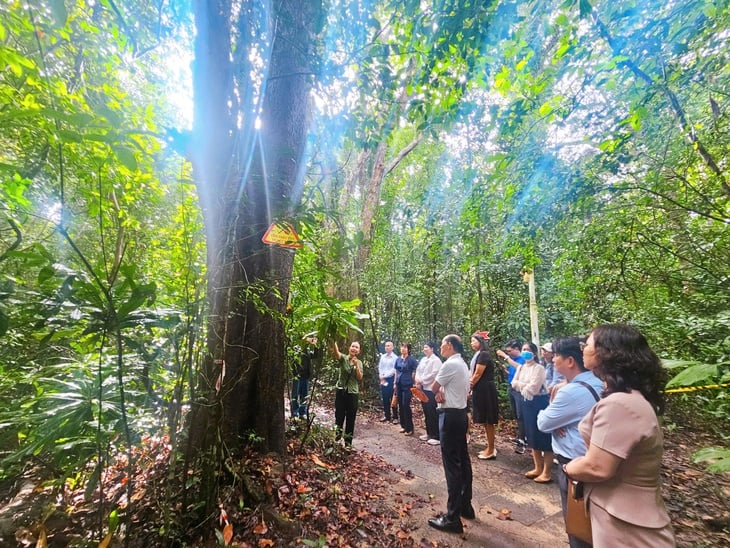 Khai mở tiềm năng để Hồ Tràm vươn tầm quốc tế - Ảnh 2.