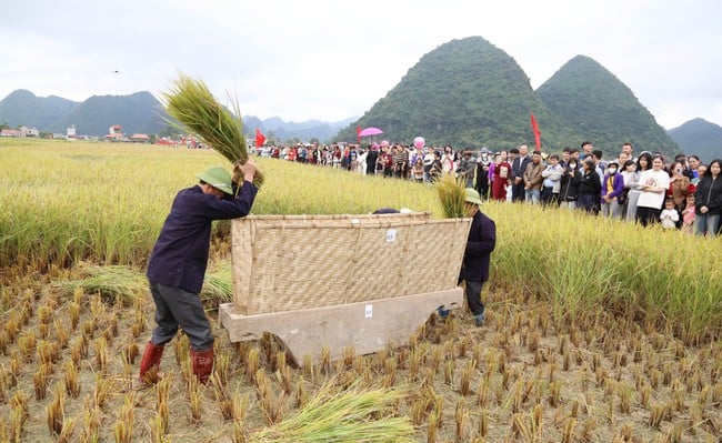 Lễ hội Mùa vàng Bắc Sơn: Đa sắc trải nghiệm nông nghiệp và văn hóa bản địa - Ảnh 1.