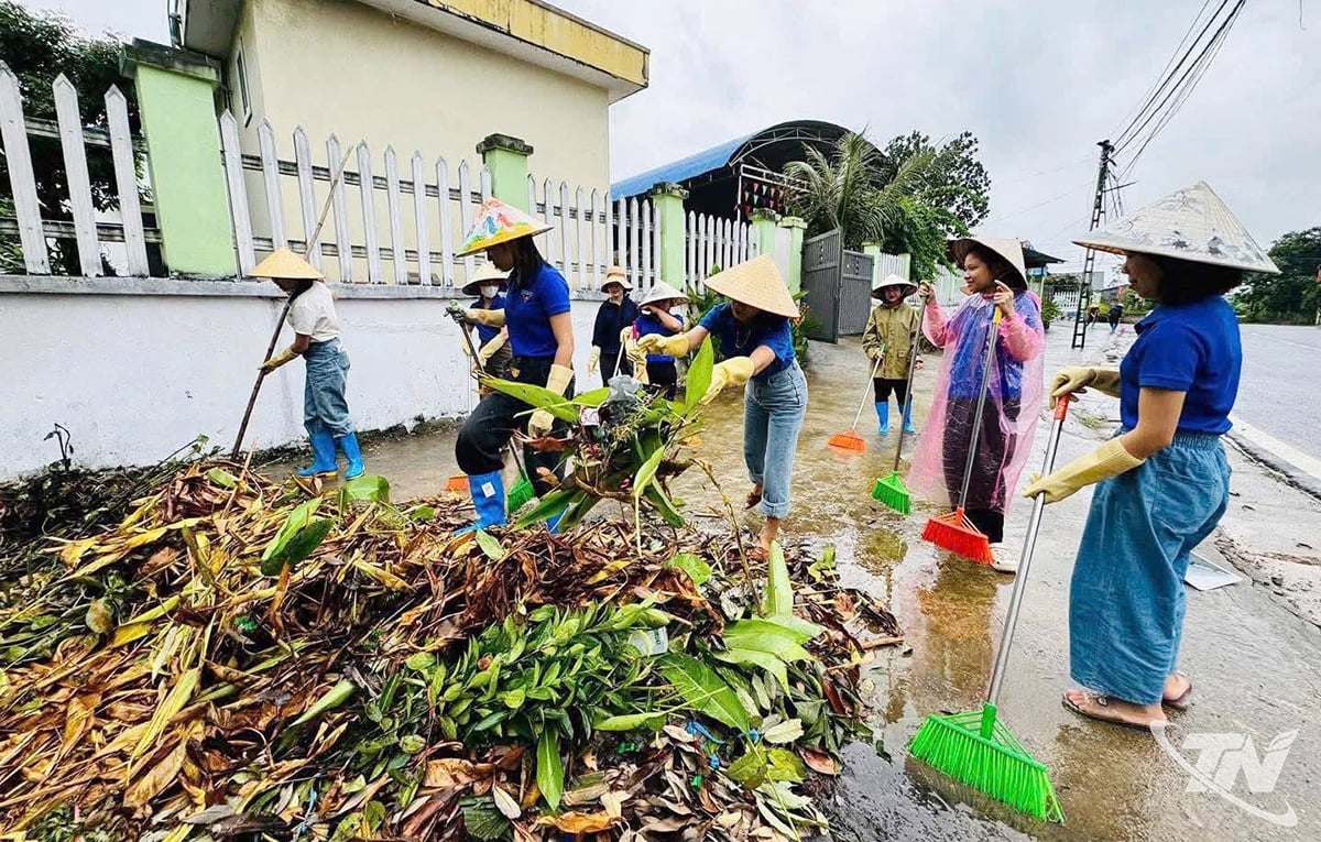 Thai Nguyen gençliği tarafından pek çok çevre koruma faaliyeti düzenli ve sürekli olarak yürütülmektedir.