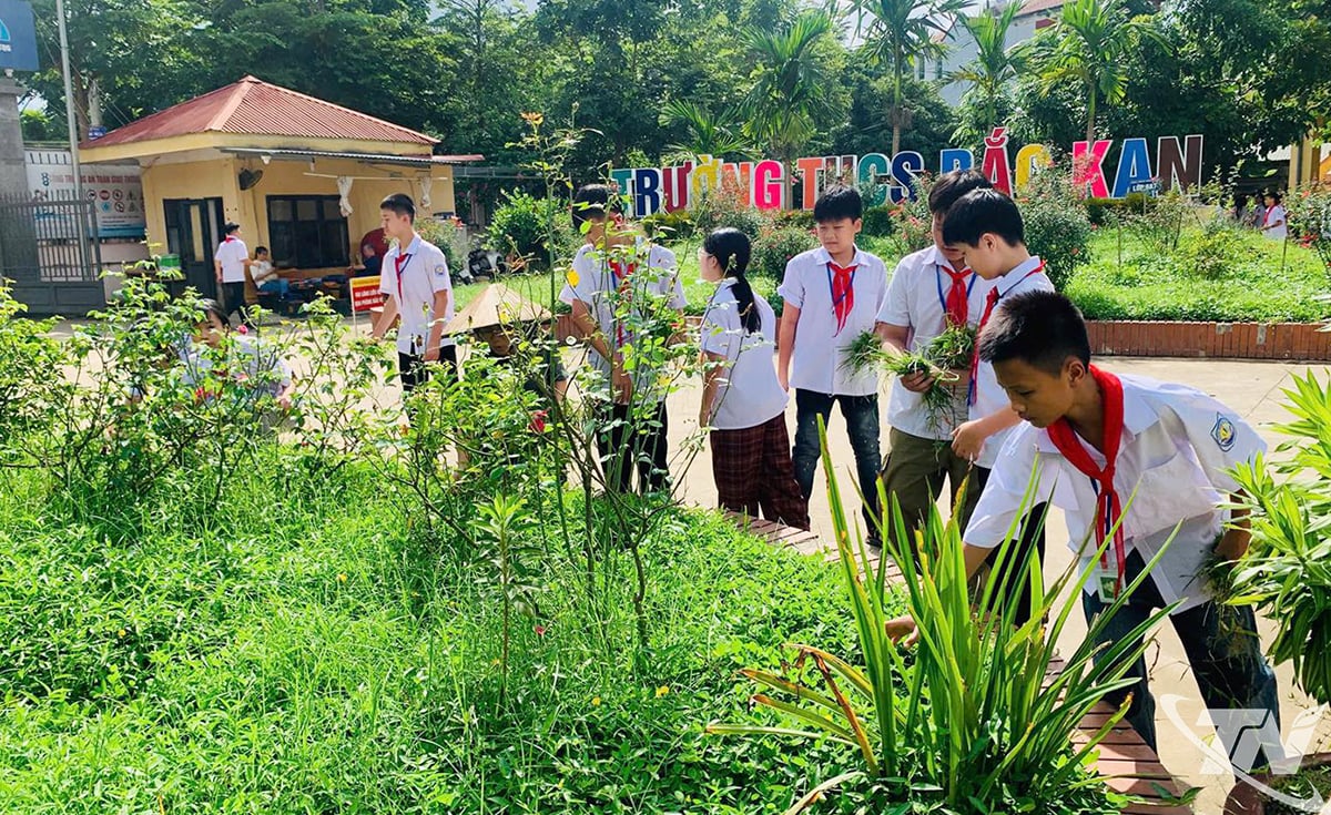 Bac Kan Ortaokulu (Bac Kan Mahallesi) öğrencileri, okul çevresindeki çevrenin temizliğine düzenli olarak katılmaktadır.