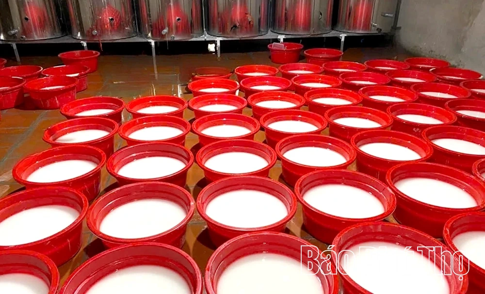 ម្សៅដំឡូងបារាំង ញួនត្រាច ត្រជាក់ និងស្រស់ស្រាយ